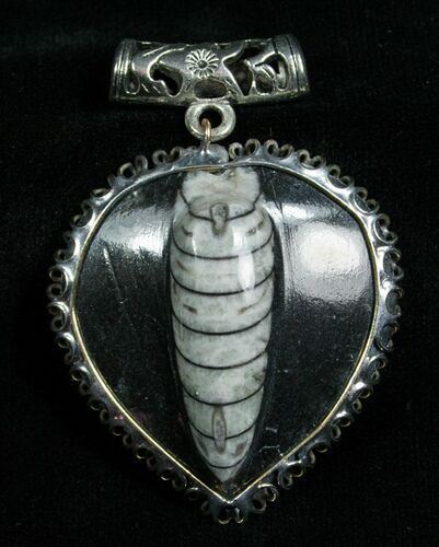 Black Heart Fossil Orthoceras Pendant #4714